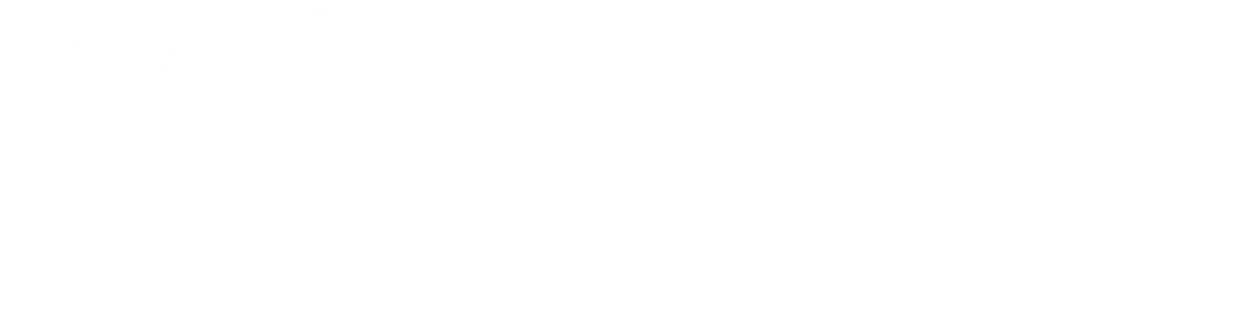 logo222222wnewwwsaaa